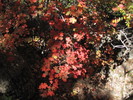 photo thumbnail #15