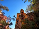 photo thumbnail #14