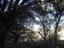 photo thumbnail #7