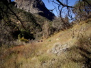 photo thumbnail #8