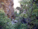 photo thumbnail #9