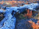 photo thumbnail #3