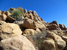 photo thumbnail #3