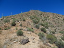 photo thumbnail #15