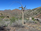 photo thumbnail #14