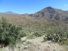 photo thumbnail #2