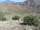photo thumbnail #3