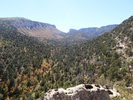 photo thumbnail #9