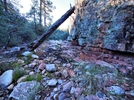 photo thumbnail #2