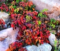 photo thumbnail #9