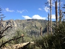 photo thumbnail #10