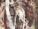 photo thumbnail #11