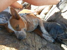 photo thumbnail #4