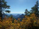 photo thumbnail #4