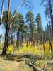 photo thumbnail #11