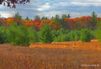 photo thumbnail #9