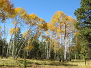 photo thumbnail #3