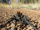 photo thumbnail #4