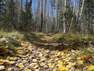 photo thumbnail #5