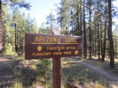 photo thumbnail #10