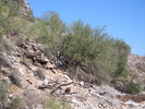 photo thumbnail #3