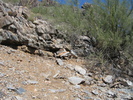 photo thumbnail #4