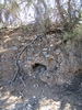 photo thumbnail #5