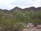 photo thumbnail #7