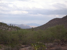 photo thumbnail #8