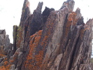 photo thumbnail #11
