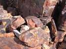 photo thumbnail #14