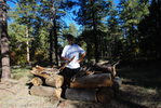 photo thumbnail #10