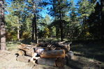 photo thumbnail #11