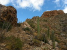 photo thumbnail #3