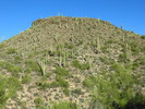 photo thumbnail #4