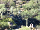 photo thumbnail #11