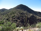 photo thumbnail #3