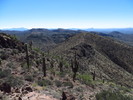 photo thumbnail #4