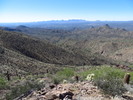 photo thumbnail #5