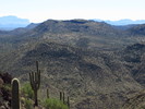 photo thumbnail #11