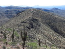photo thumbnail #12