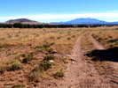 photo thumbnail #8