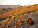 photo thumbnail #2