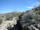 photo thumbnail #10