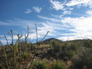 photo thumbnail #11