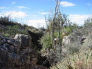 photo thumbnail #12