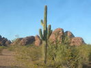 photo thumbnail #1