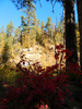 photo thumbnail #11