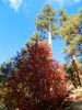 photo thumbnail #13