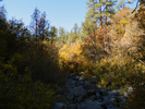 photo thumbnail #15